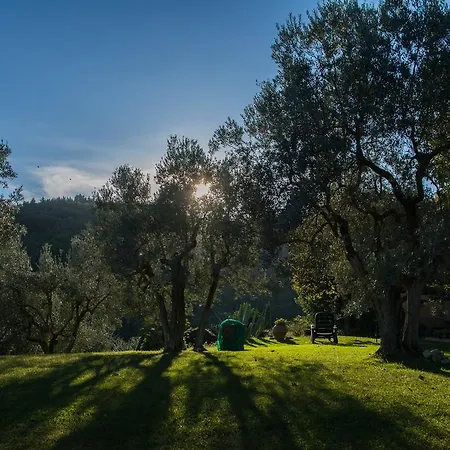 Villa La Sassaia Carmignano