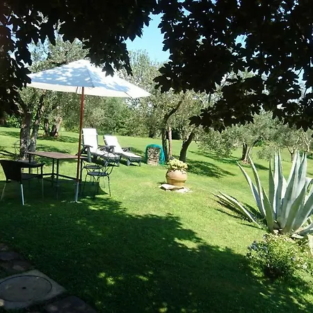 La Sassaia *