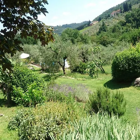 La Sassaia Villa