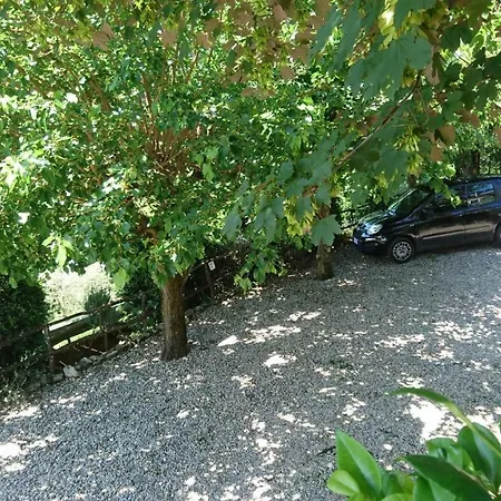 La Sassaia * Carmignano