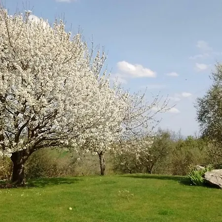 Villa La Sassaia Carmignano