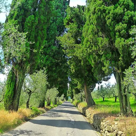 La Sassaia Carmignano